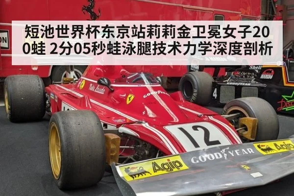 短池世界杯东京站莉莉金卫冕女子200蛙 2分05秒蛙泳腿技术力学深度剖析