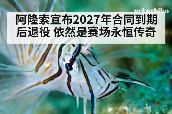 阿隆索宣布2027年合同到期后退役 依然是赛场永恒传奇